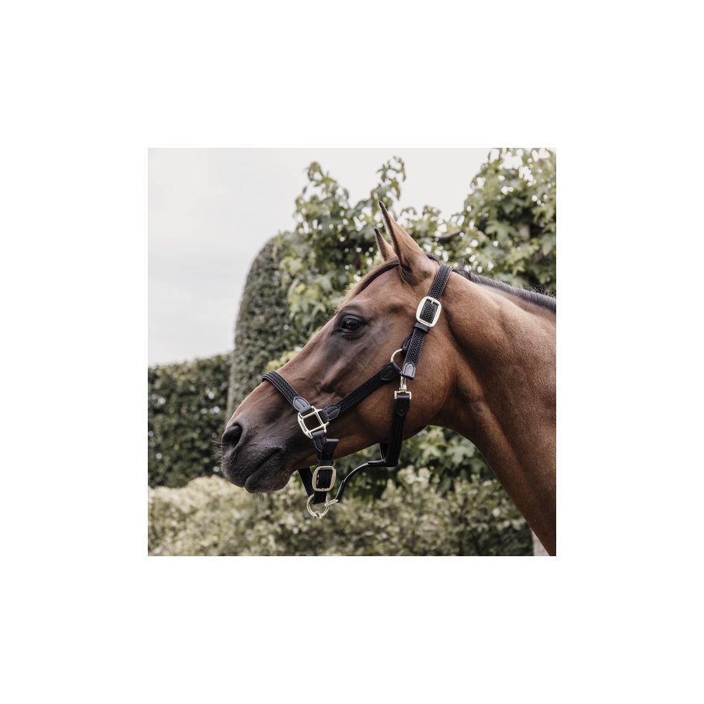 Licol cheval en nylon tresse KENTUCKY bordeaux - Horse Prestige