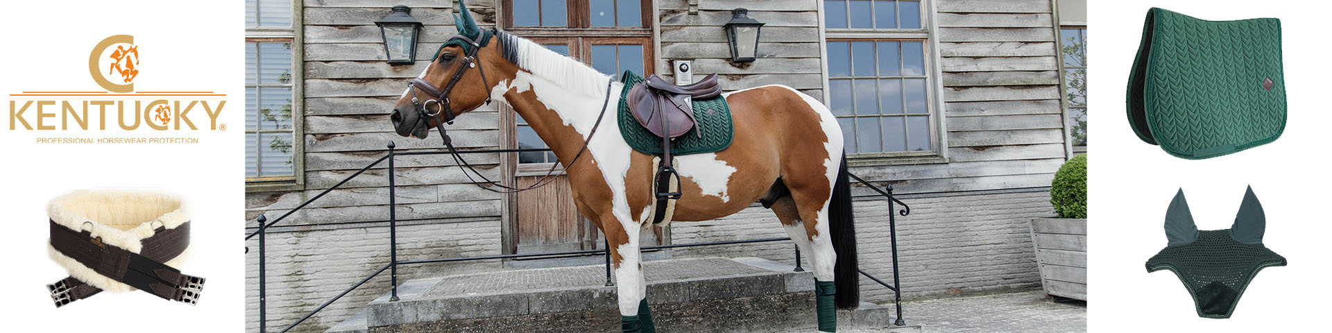 Liste d'équipement d'équitation complète pour débutants